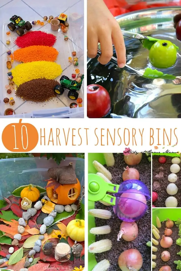10 Harvest Sensory Bins, perfect fall sensory activities for kids to learn about harvest, or a collection of great farm sensory play ideas.