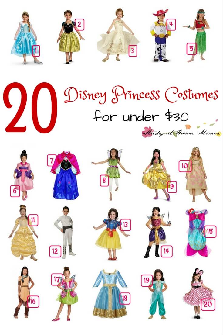 20 Disney Princess Costumes for under $30 - great girl costume ideas for your Disney Princess lover