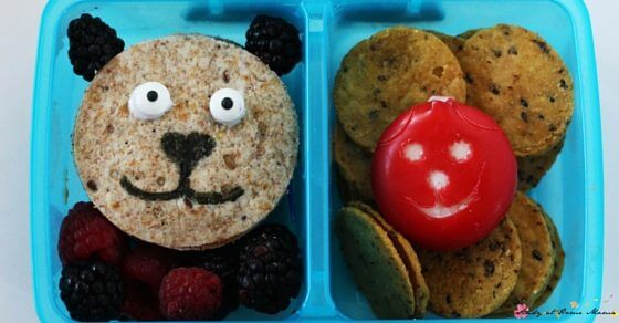 Bear Bento Box - a great lunch box idea for a teddy bear picnic, or during a forest animal unit study.