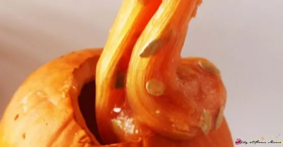 Pumpkin slime is a wonderful fall sensory play idea for kids who love squishy, stretchy, oozy fun! This sensory activity for kids is easy to make and lasts for about a week. Add in some pumpkin seeds for some added interest and learning opportunities