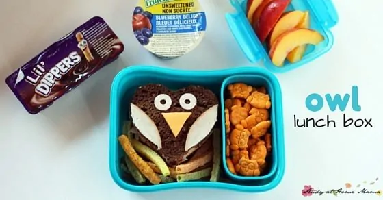 Owl Lunch Box Idea - easy fall-themed lunch box idea for kids