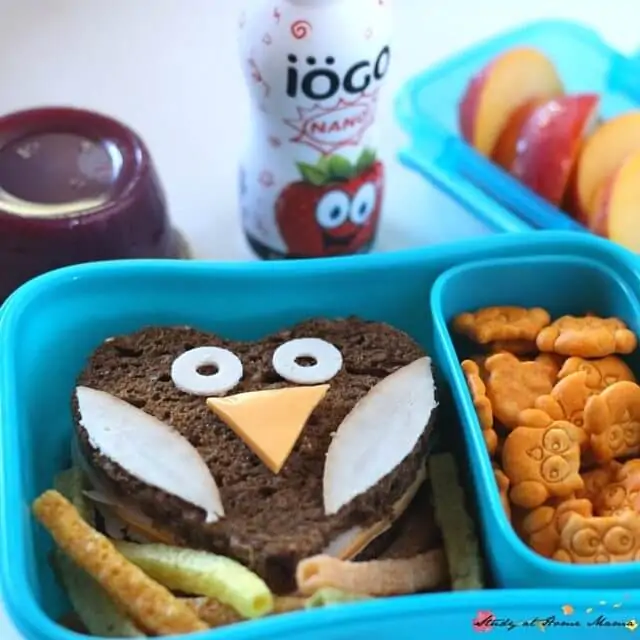 Who ever said cute lunches can't be healthy? This fun owl lunch box idea is super cute, and hits all of the nutrients you want in your child's lunch box