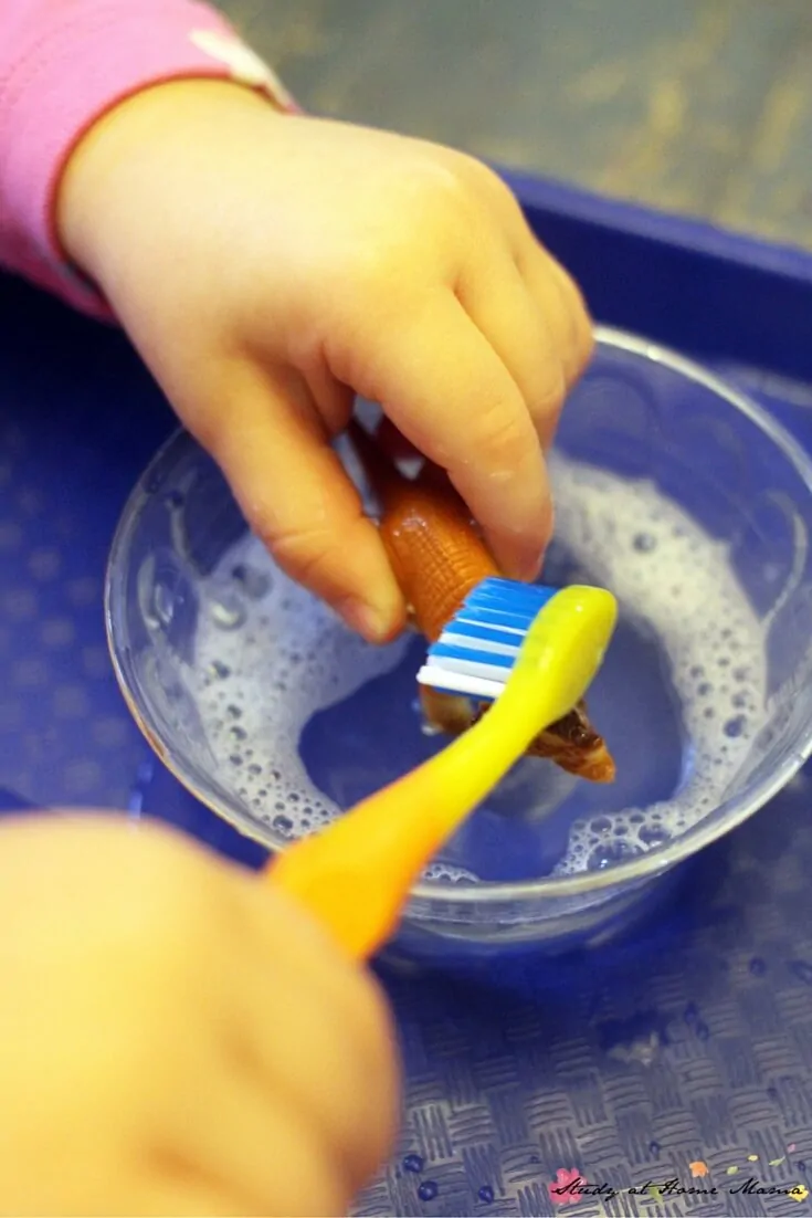 Scrub dinosaurs to teach children how to brush their teeth
