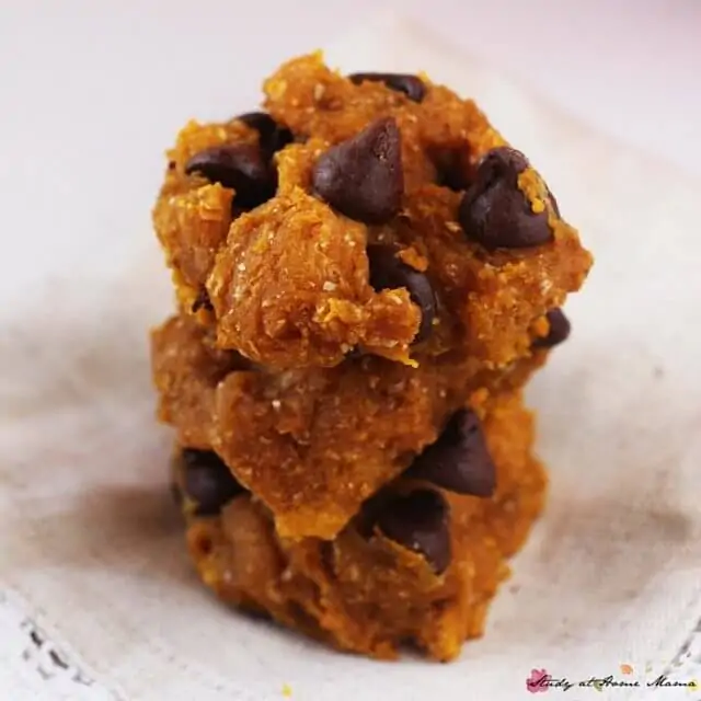 Kids Kitchen: Healthy Pumpkin Cookies - this site has a ton of healthy kids' desserts, and lots of delicious pumpkin treats!