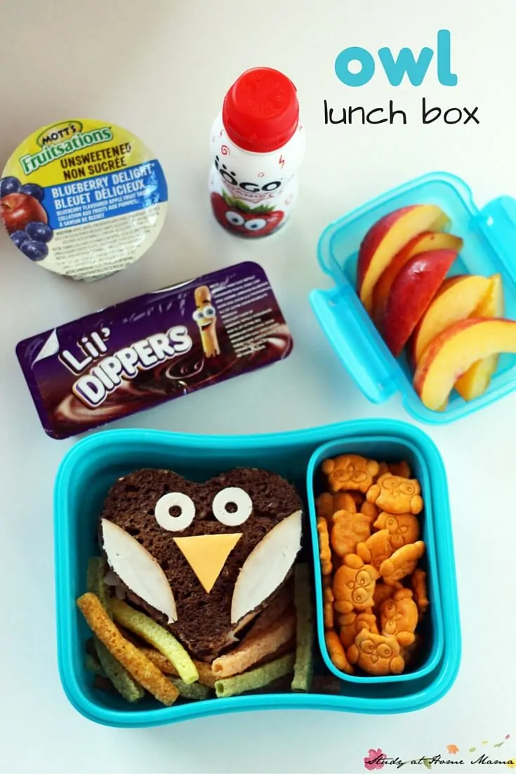 Owl Lunch Box Idea - easy fall-themed lunch box idea for kids. A healthy lunch box idea that is cute, too!