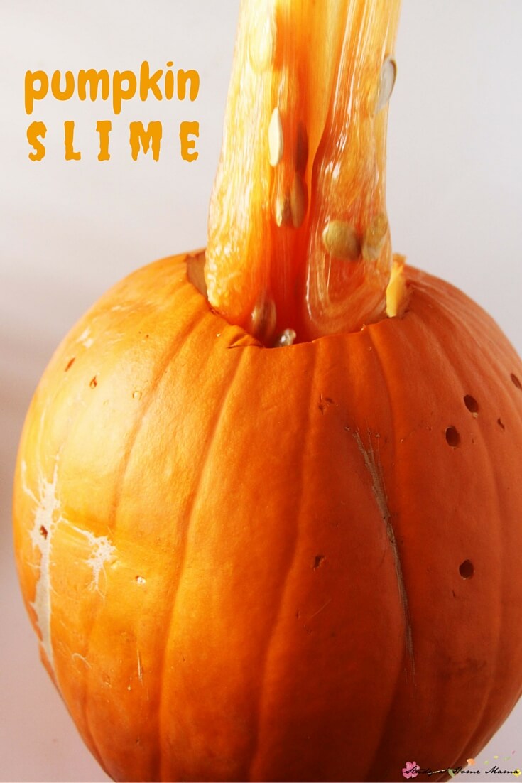 Pumpkin slime is a wonderful fall sensory play idea for kids who love squishy, stretchy, oozy fun! This sensory activity for kids is easy to make and lasts for about a week. Add in some pumpkin seeds for some added interest and learning opportunities