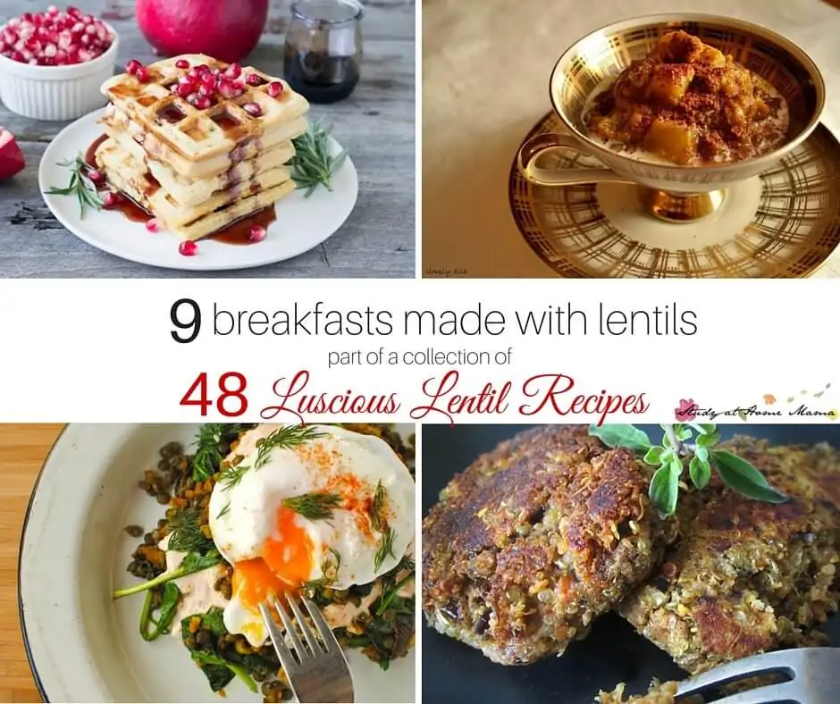 9 lentil breakfast recipes - part of a collection of 48 easy healthy lentil recipes. Lentil breakfast ideas like lentil waffles will blow your mind!