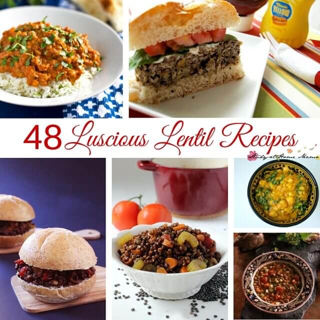 48 Easy Healthy Recipes for Lentils. Everything from lentil breakfast recipes to lentil desserts. Vegetarian meals that even a carnivore would love.