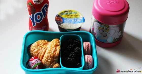 Yum! This Madeline lunch box idea is a great way to explore French culture with your tastebuds. Perfect for a France unit study