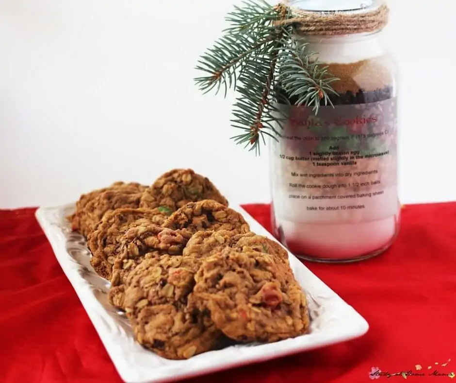 Looking for an easy homemade gift that doesn't cost a lot of money, but is still gorgeous and thoughtful? These Santa's Cookies Mason Jar Gifts are a fabulous option if you are strapped for time and want to whip up a bunch of gifts without running to the store