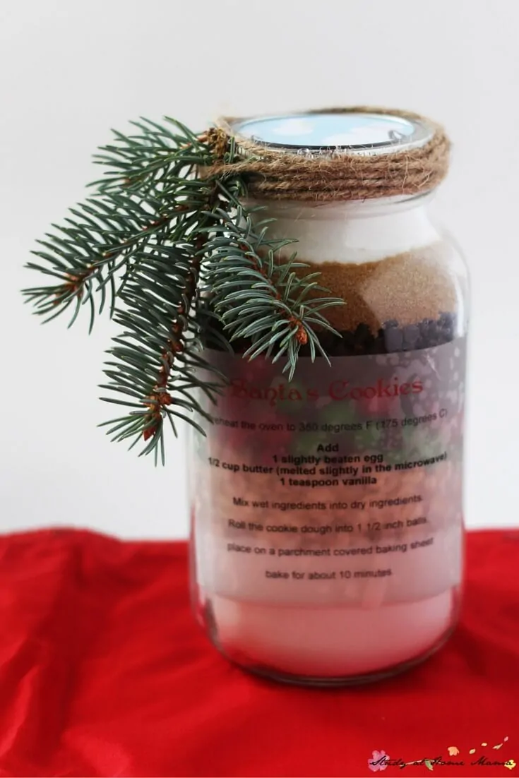 Mason Jar Gifts are a great homemade gift under $5 - these Santa's Cookies are a personal favourite!