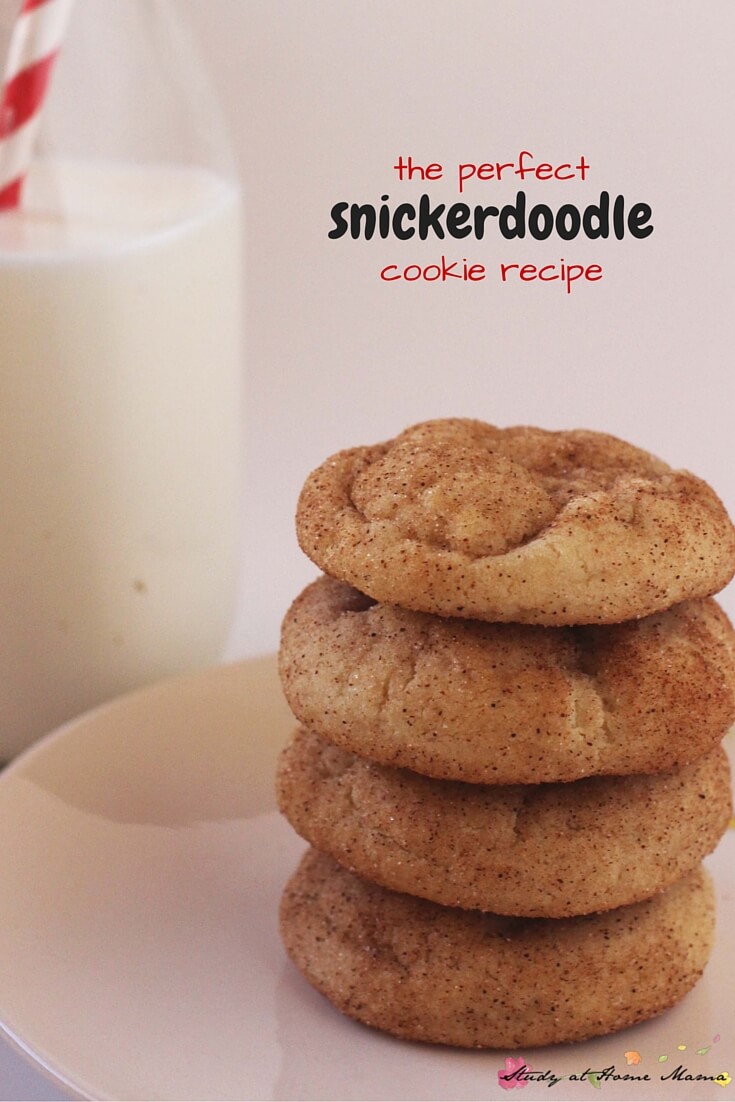 The Perfect Snickerdoodle Cookie Recipe - a light and fluffy sugar cookie that melts in your mouth, coated in cinnamon sugar and with those tell-tale snickerdoodle wrinkles. Make the perfect snickerdoodles quickly with this easy recipe