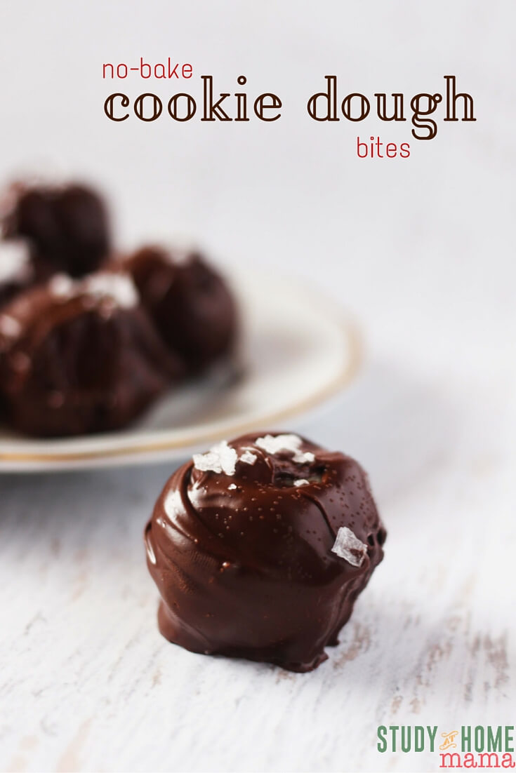 Kids' Kitchen No Bake Cookie Dough Bites are perfect for any get together. Kids can make delicious chocolate balls for friends and family. Sweet and salty flavor in bite sized portions. 