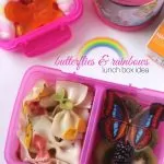 Rainbow & Butterflies Lunch Box Idea