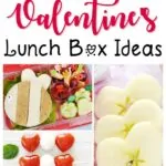 30+ Valentine’s Lunch Box Ideas