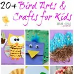 20 + Bird Crafts for Kids