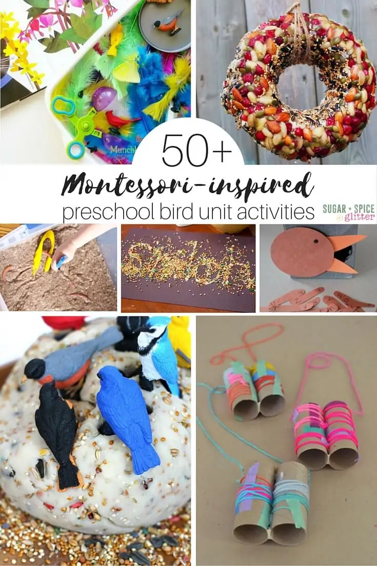 50+ Ideas for a Preschool Bird Unit Study