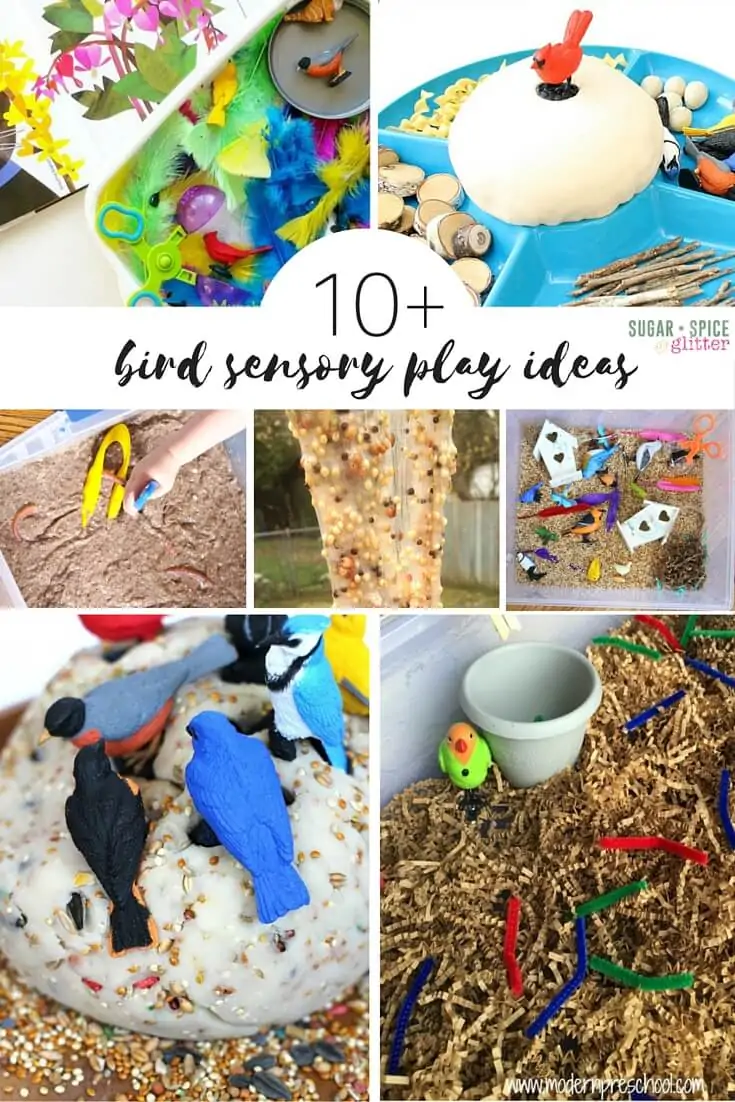 Easy bird sensory play ideas - from sensory bins, to bird seed slime and bird nest making play dough