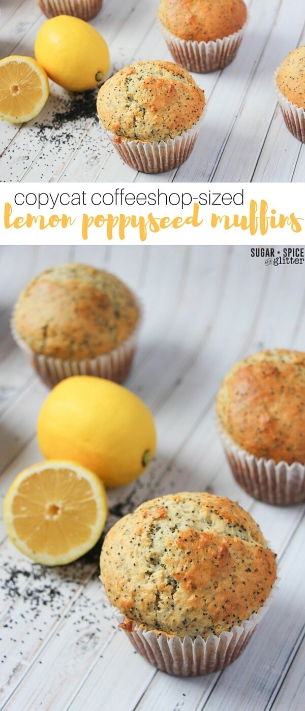 These copycat starbucks lemon poppyseed muffins are jumbo-sized for sharing - or just a bit of afternoon indulgence. An easy muffin recipe the kids can help make