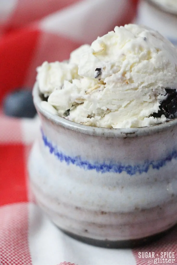 how to make blueberry ice cream (1)