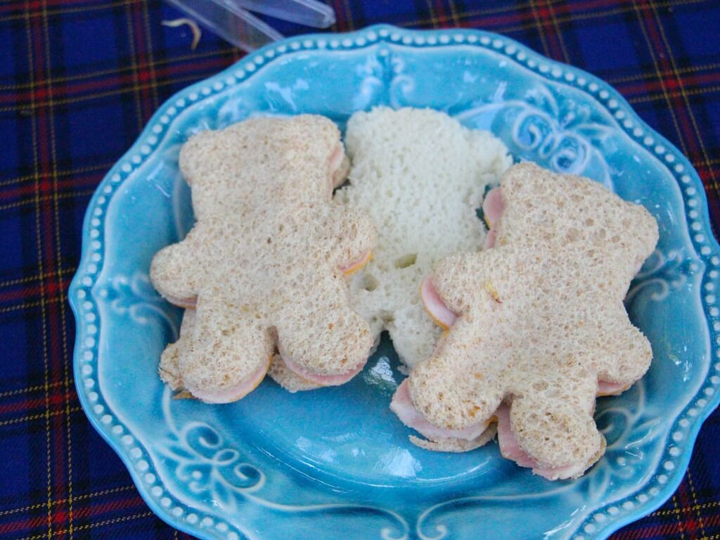 teddy bear picnic recipes