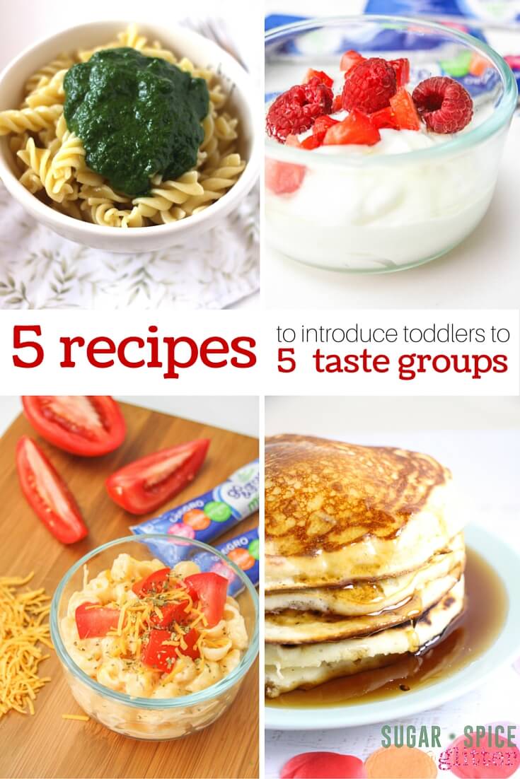 5 toddler-friendly recipes to help build a diverse palate and introduce your toddler to the 5 taste groups. Includes a free printable recipe sheet to keep on the fridge.