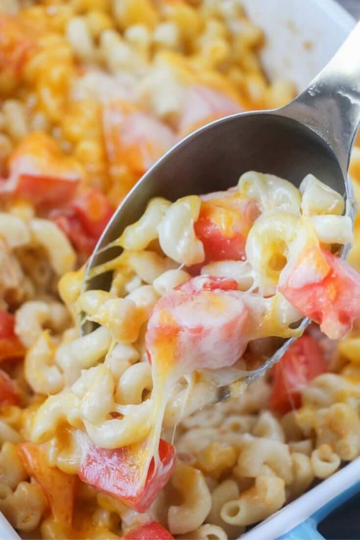 Macaroni and cheese made with beer - a delicious homemade ale cheese sauce