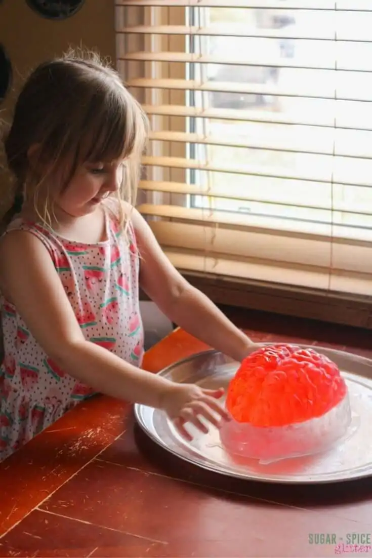 A fun Halloween sensory play activity - dissect a Jell-O brain!