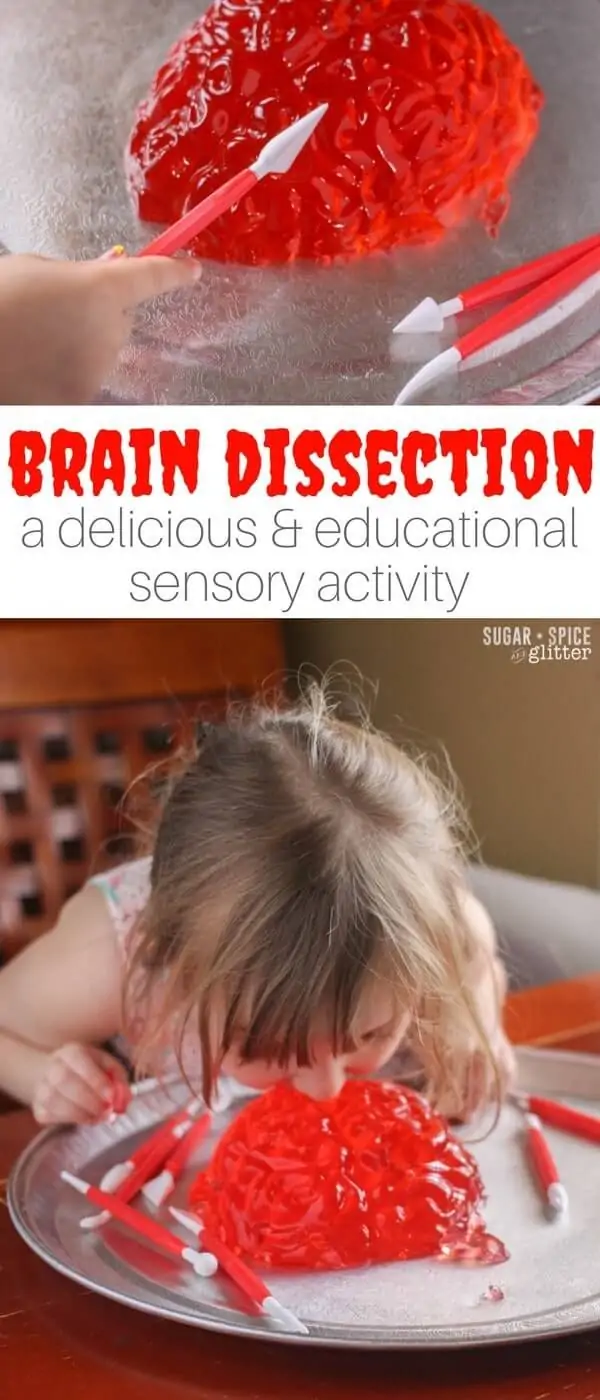 A fun Jell-O sensory play activity, this brain dissection invitation is a great way to teach kids about the human brain and work on fine motor skills, while having some messy sensory fun