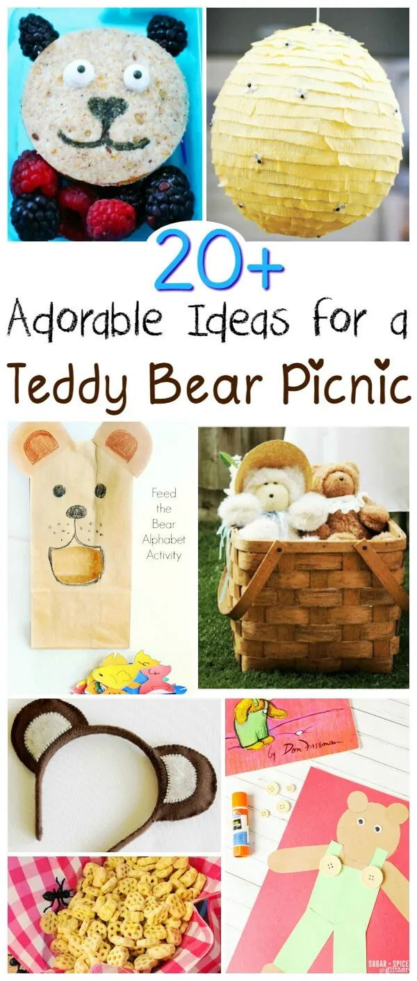 20+ Teddy Bear Picnic Ideas