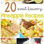 20+ Sweet & Savoury Pineapple Recipe