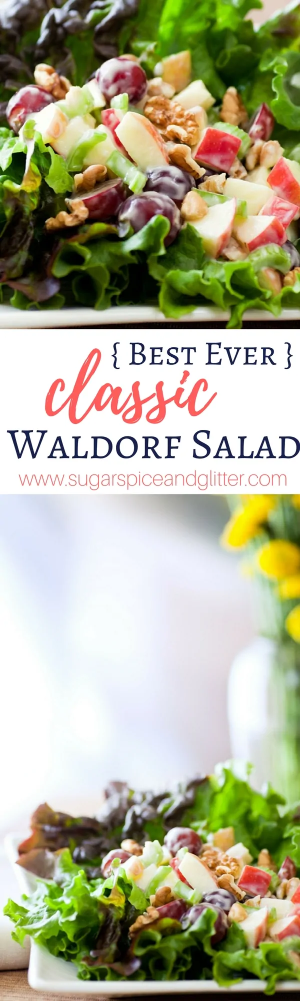 Clasic Waldorf Salad Recipe with fresh grape, apple, celery and walnut topping and a lightened up yogurt salad dressing