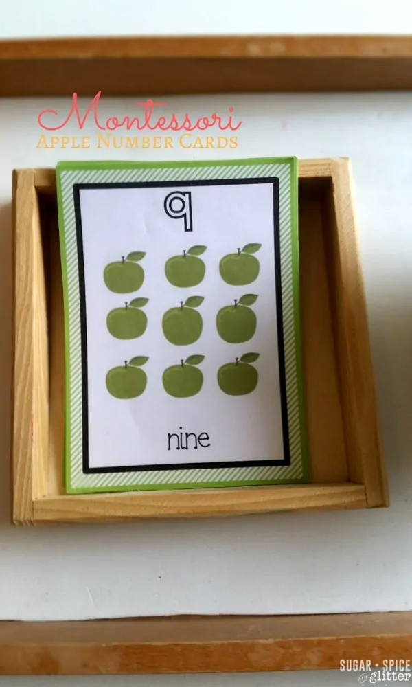 Apple Number Cards for a Montessori Fall unit study activity