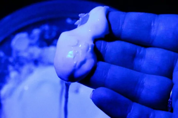 Glow in the dark edible slime or oobleck - whatever you want to call it!
