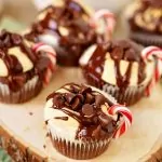 Hot Chocolate Cupcakes (with Video)