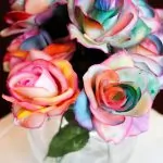 Painting Rainbow Roses