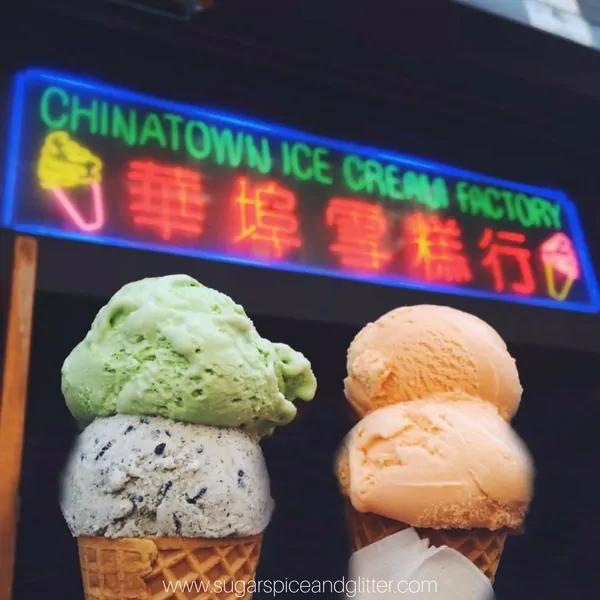 Chinatown Ice Cream Factory - one of the best ice cream in NYC