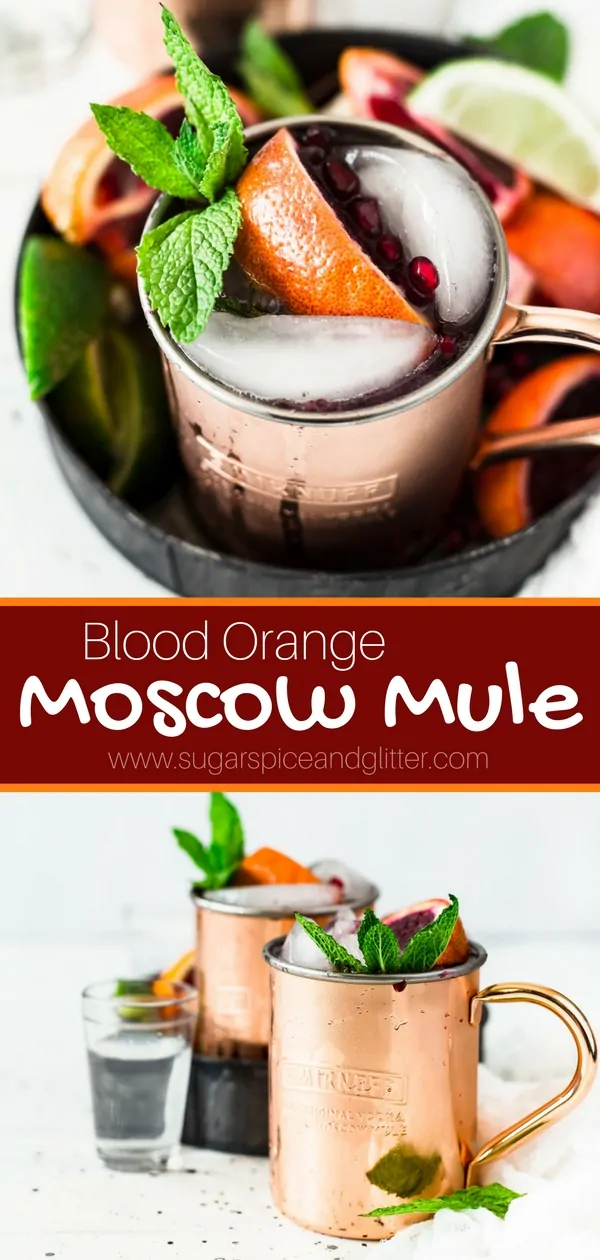 A delicious twist on a classic Moscow Mule - this Blood Orange Vodka Cocktail is crisp and refreshing with a bit of bite from the ginger beer
