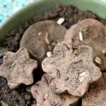 DIY Seed Bombs (with Video)