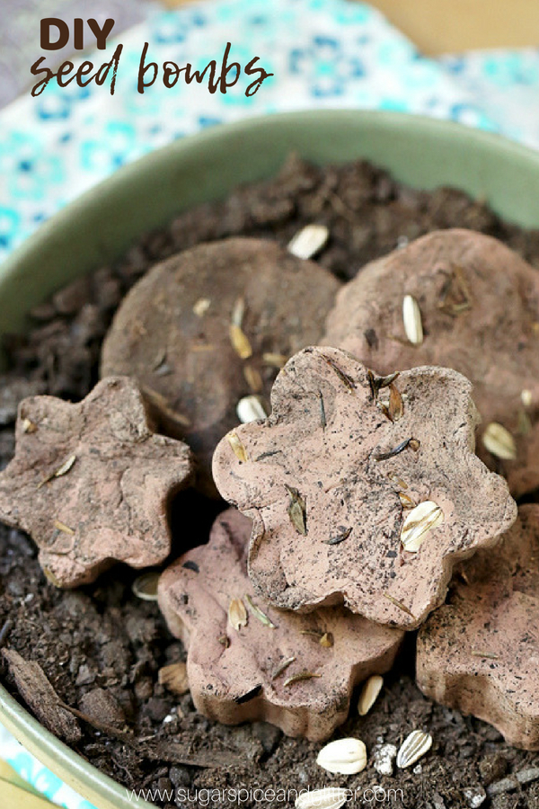 DIY Seed Bombs are a fun kids' garden craft that doubles as a great gift for Mother's Day or the gardener in your life! A fun and easy way to plant wildflowers in your yard