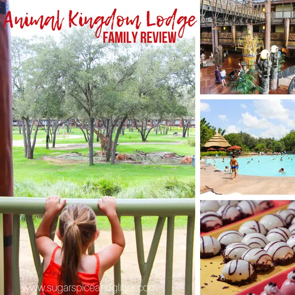 AKL is Disney's Animal Kingdom Lodge, the best Disney resort if you love animals, food, and adventure! This honest Disney resort review also features a video shot at the resort
