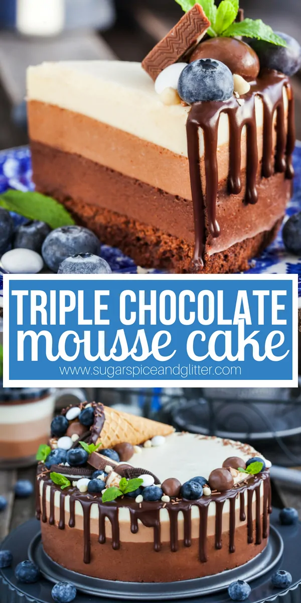 A gluten-free Chocolate Mousse cake fit for a party! This silky and rich chocolate cake is perfect for people who aren't huge fans of regular cake or prefer something lighter