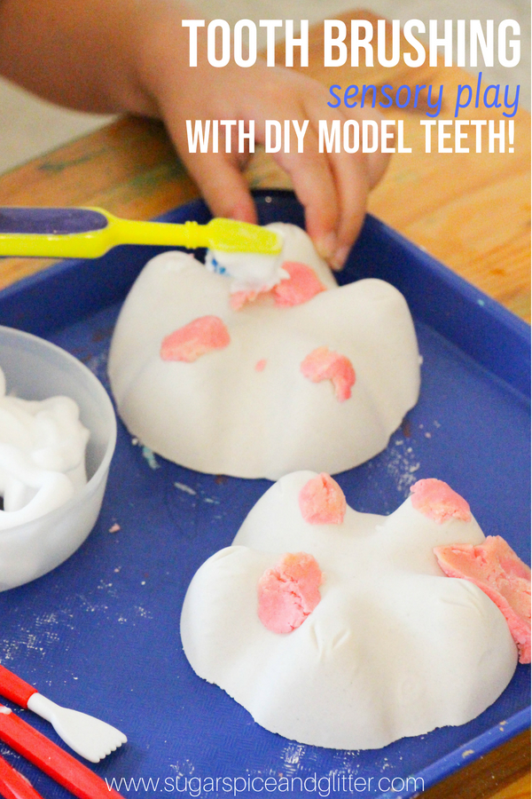DIY Tooth Models & Tooth Sensory Play (with Video)