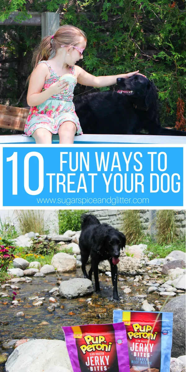 From special outings to special treats, here are 10 Fun Ways to Treat your Pup this Fall