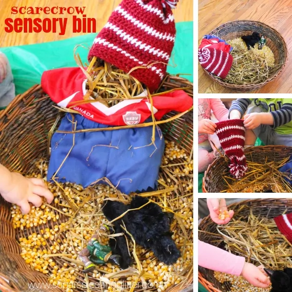 Scarecrow Sensory Bin, perfect for playing with after reading a Scarecrow book, an easy fall sensory bin for toddlers