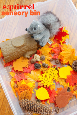 squirrel sensory bin (3)