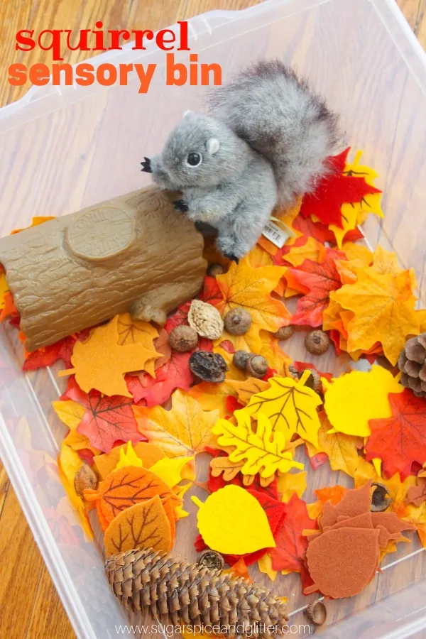 The perfect fall sensory bin after reading a book about squirrels, this squirrel sensory bin for toddlers or preschoolers is always a hit