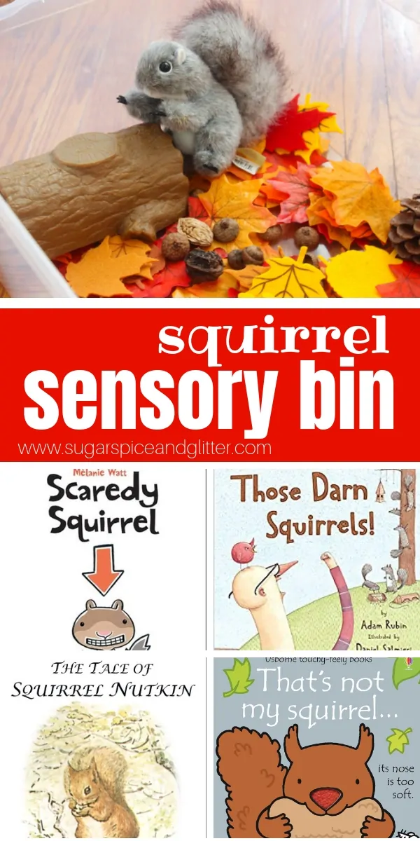 This squirrel sensory bin for preschoolers is perfect to play with after reading one of these classic squirrel books for kids. A Fun fall sensory play idea