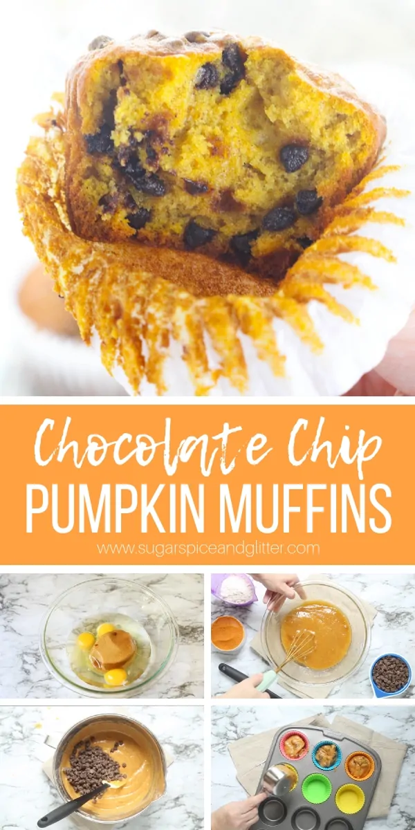 A delicious pumpkin breakfast recipe, these chocolate chip pumpkin muffins are flavorful, moist and jumbo-sized, everything a muffin should be