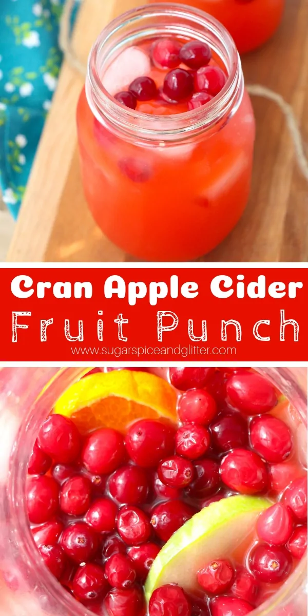 A delicious fall punch recipe the whole family can enjoy, this Cranberry Apple Cider Punch recipe is super simple to whip up and is so fancy for a special fall drink
